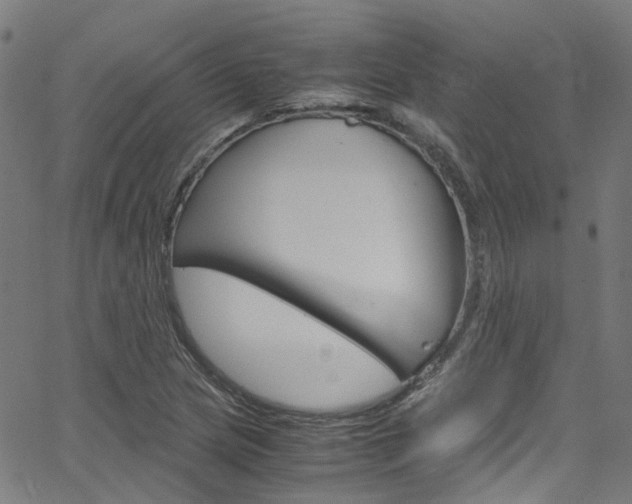 X0000066111217200603100955