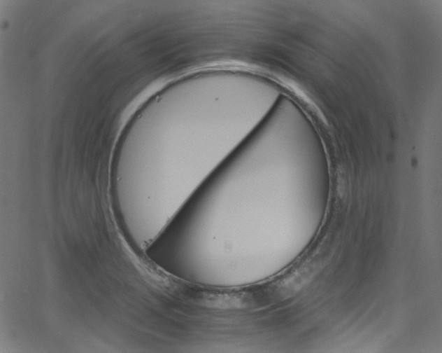 X0000066111229200603100955