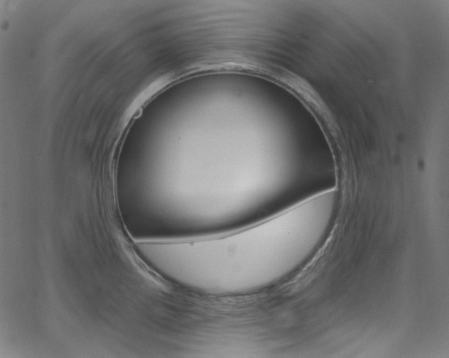 X0000066111242200603100955