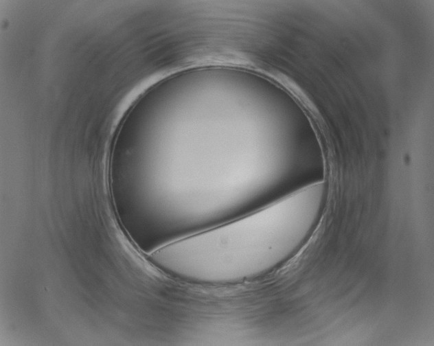 X0000066111246200603100955