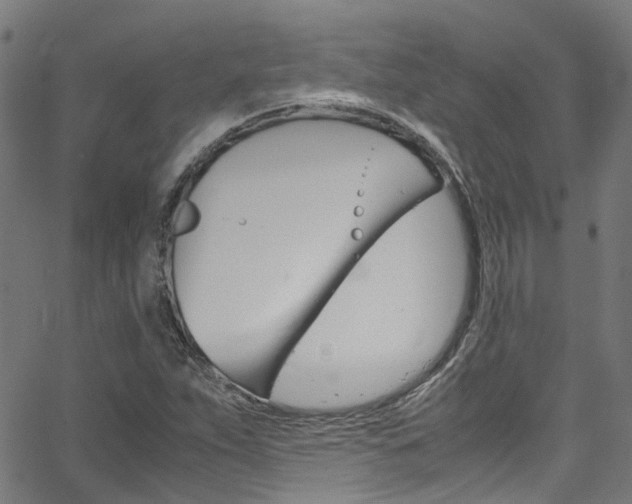 X0000066111263200603100955