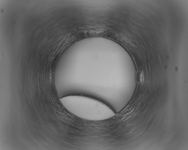 X0000066111299200603100953