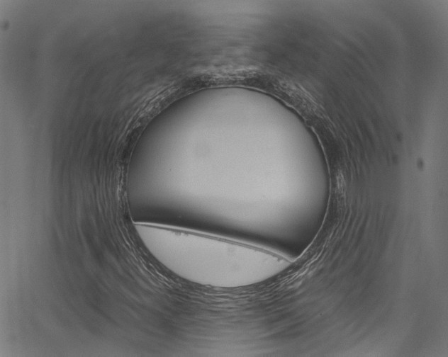 X0000066111300200603100953