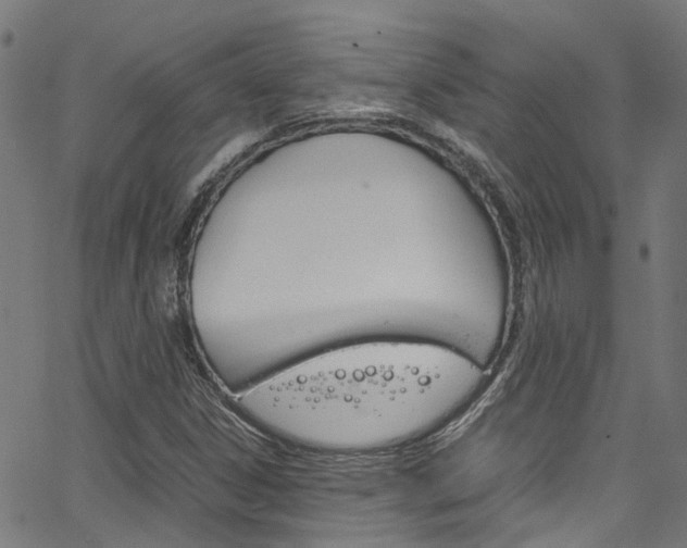 X0000066111306200603100953