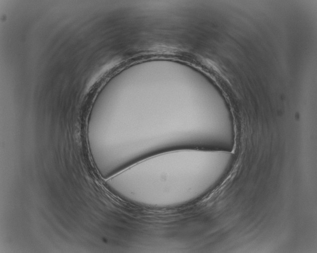 X0000066111307200603100953
