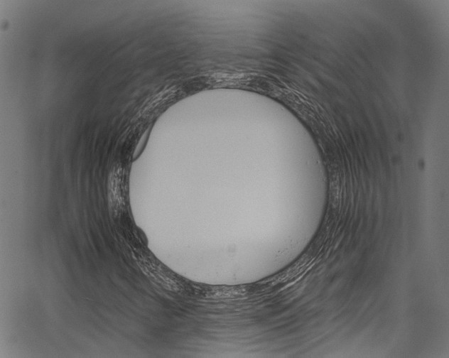 X0000066111346200603100953