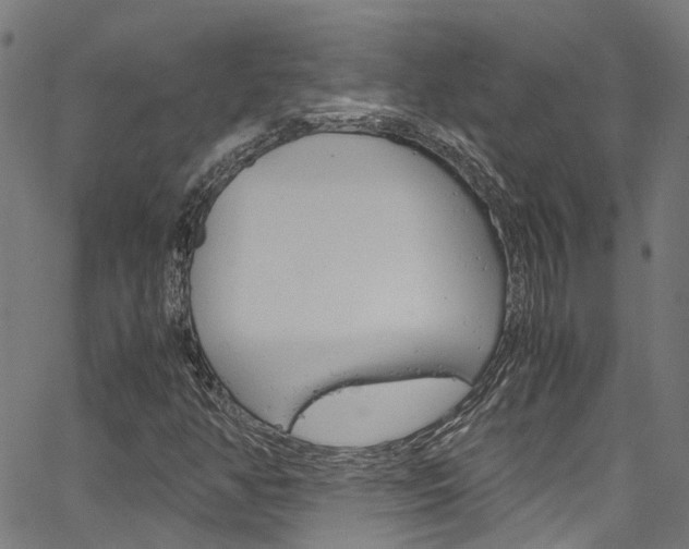 X0000066111350200603100953