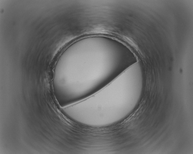 X0000066111356200603100953