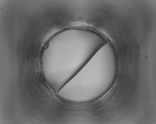 X0000066111358200603100953