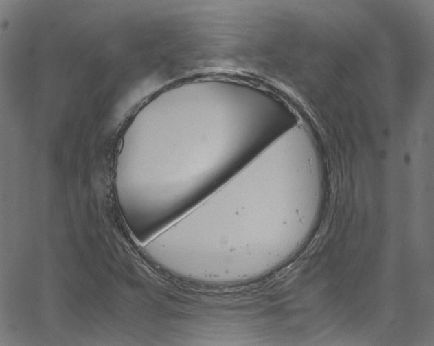 X0000066111359200603100953