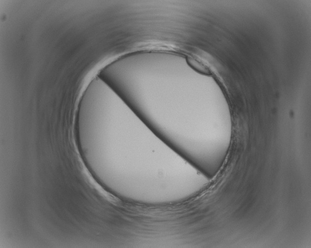 X0000066111379200603100953