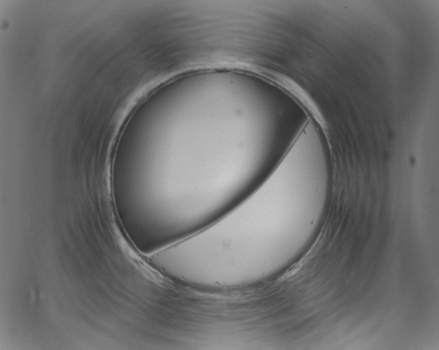 X0000066111388200603100952