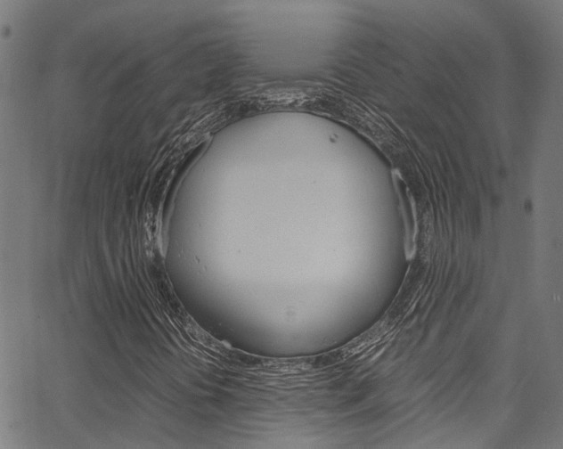 X0000066111394200603100952
