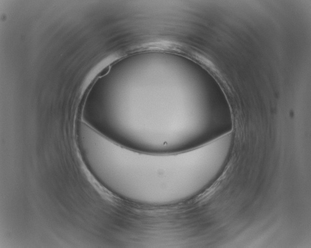 X0000066111426200603100952