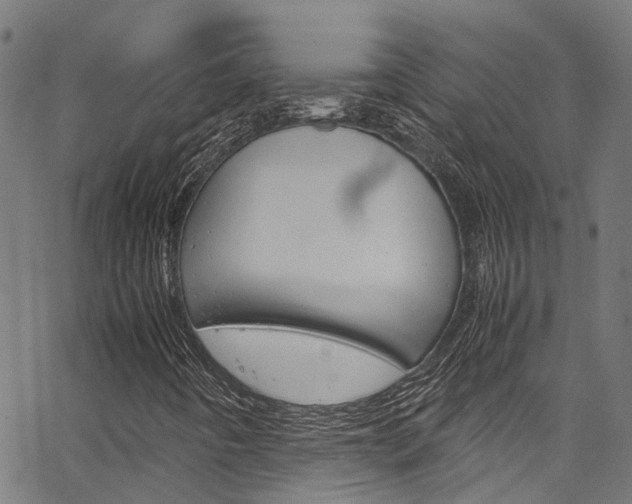 X0000066111442200603100952
