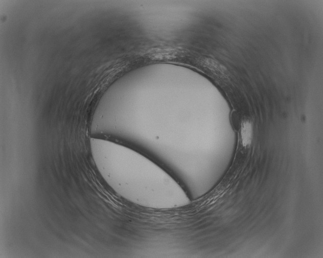 X0000066111444200603100951