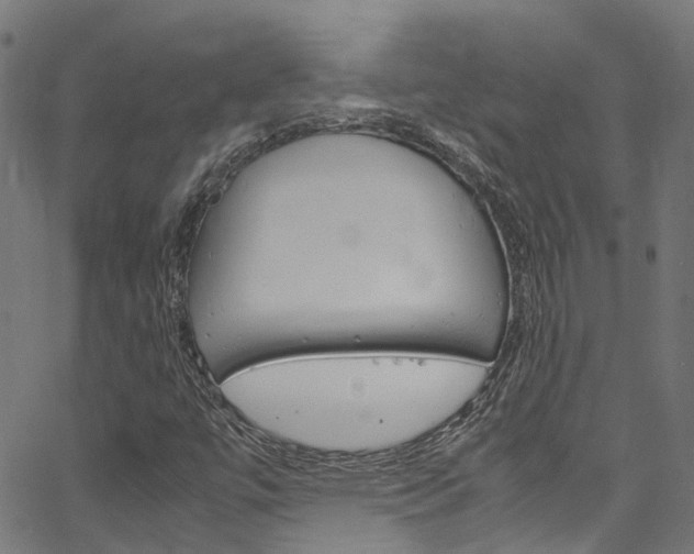 X0000066111447200603100951
