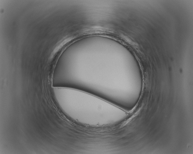 X0000066111453200603100951