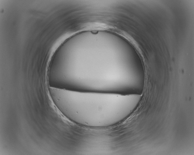 X0000066111488200603100951