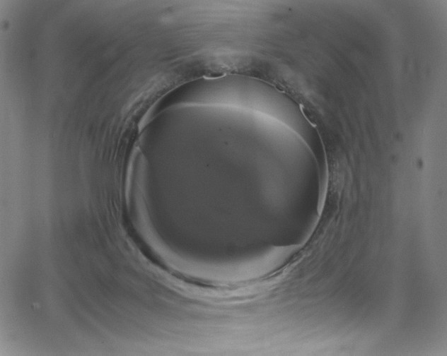 X0000066110027200603101217