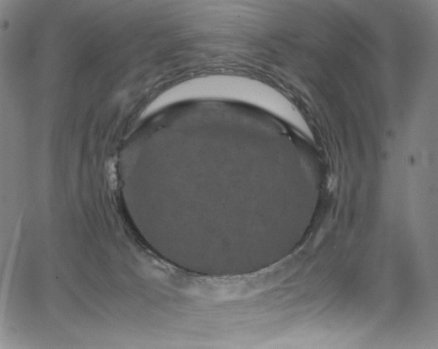 X0000066110033200603101217