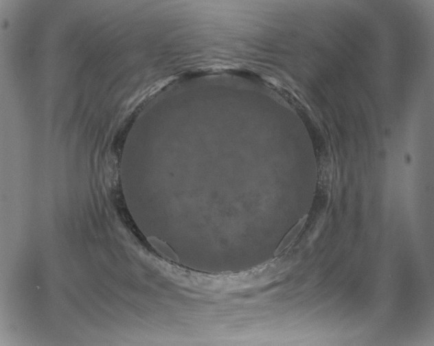 X0000066110043200603101217