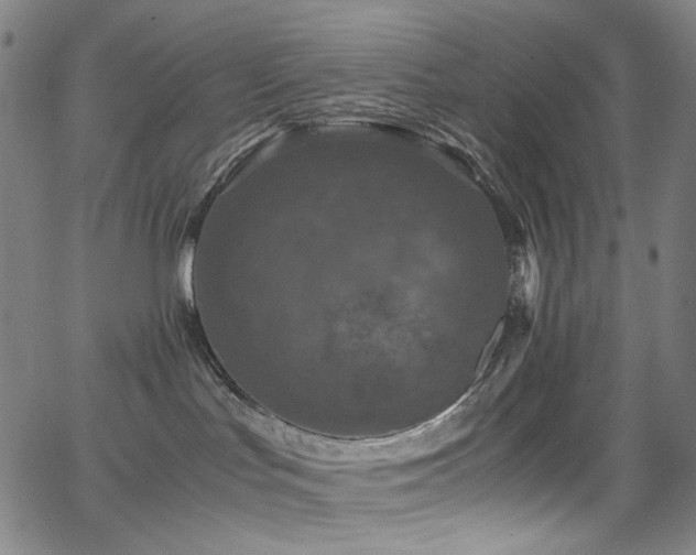 X0000066110047200603101217