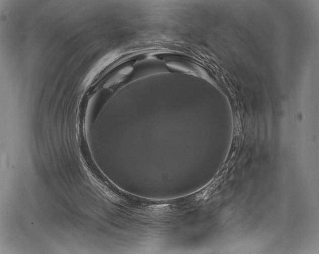 X0000066110054200603101216