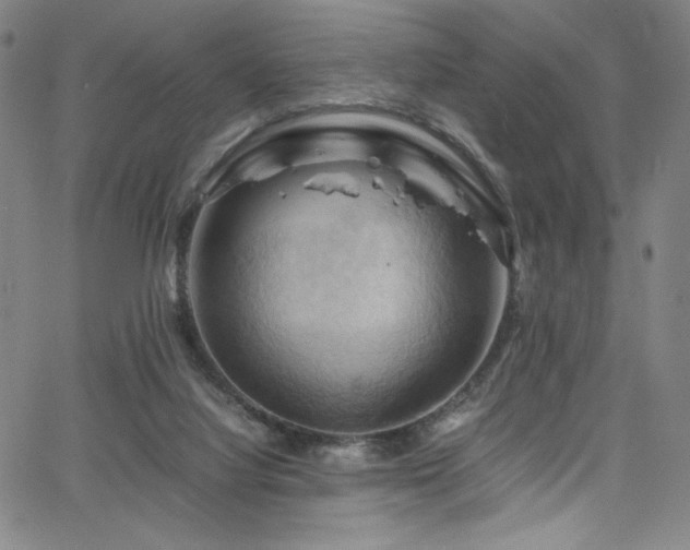 X0000066110068200603101216