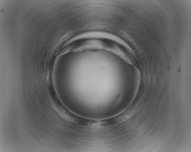 X0000066110072200603101216
