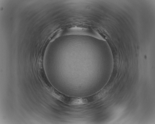 X0000066110083200603101217