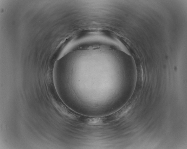 X0000066110088200603101217