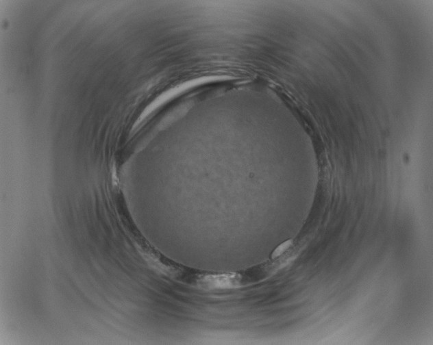 X0000066110089200603101217