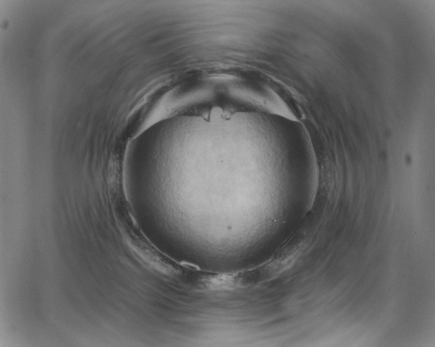 X0000066110092200603101217