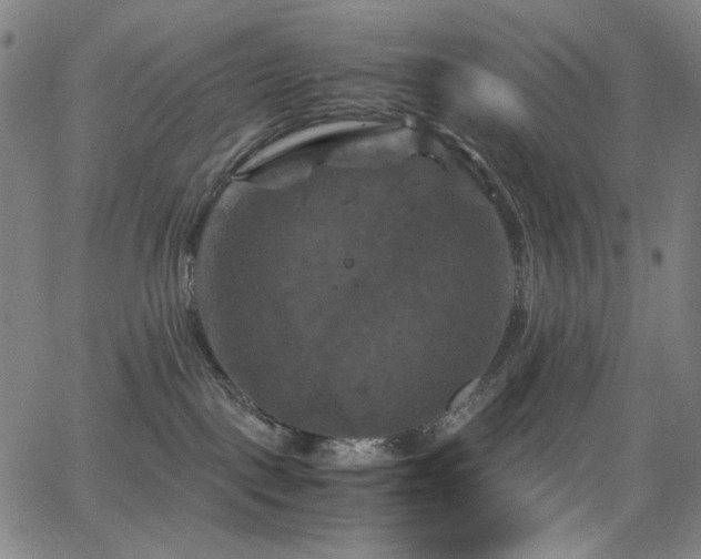 X0000066110093200603101217