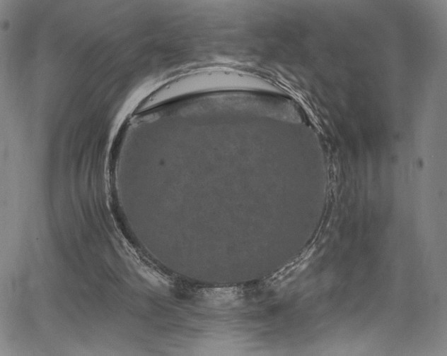 X0000066110102200603101216
