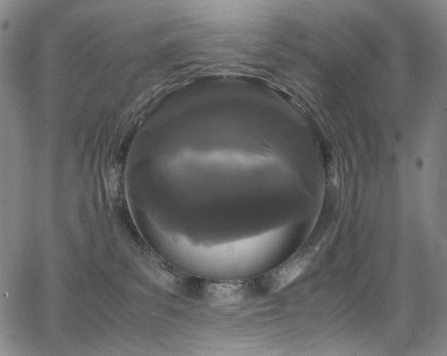 X0000066110139200603101215