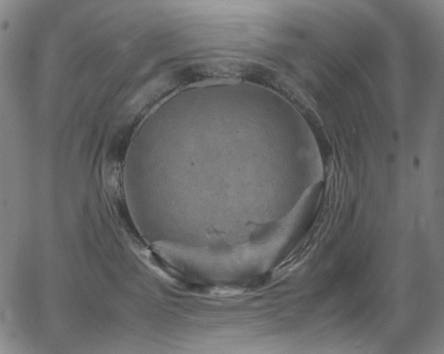 X0000066110141200603101215