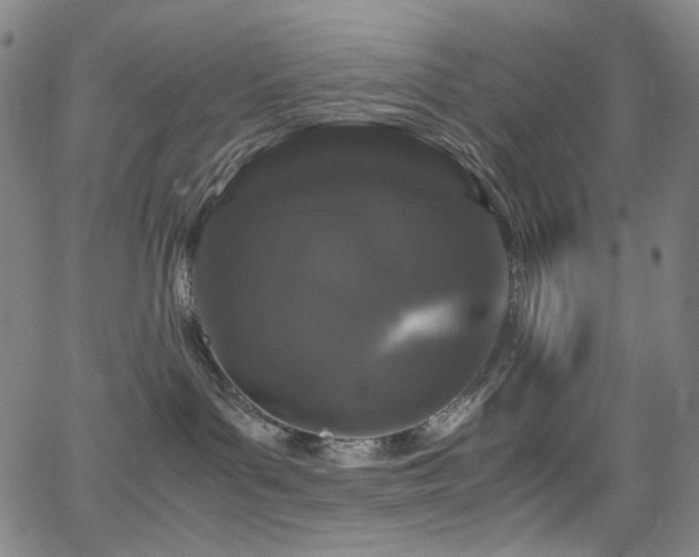 X0000066110143200603101215