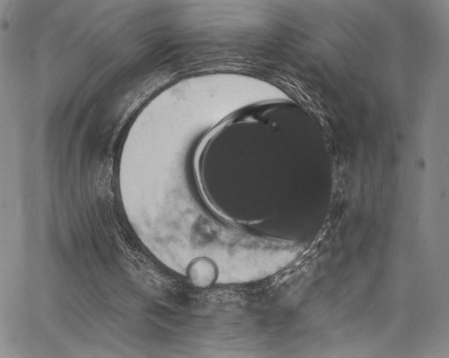 X0000066110146200603101215