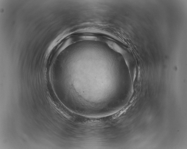 X0000066110150200603101215