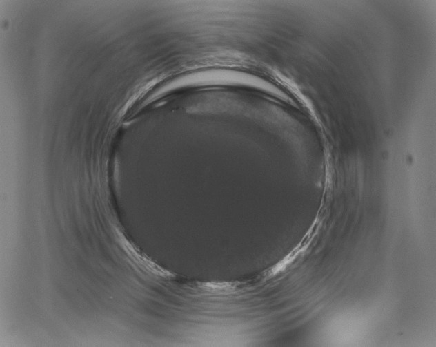 X0000066110154200603101215