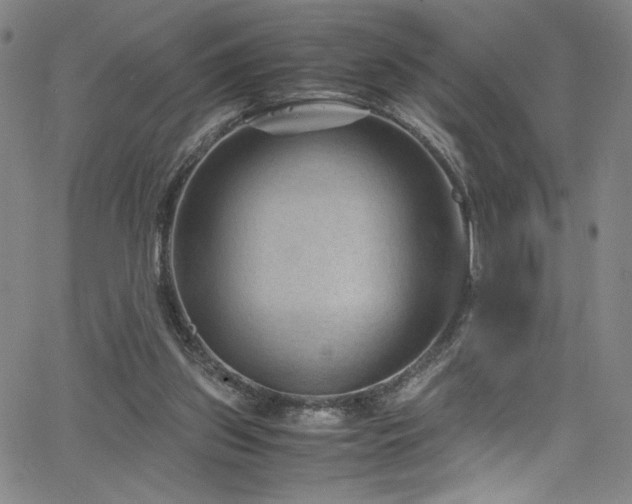 X0000066110157200603101215