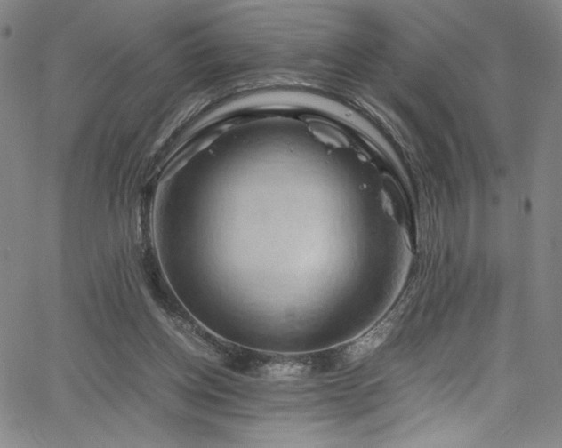 X0000066110158200603101215