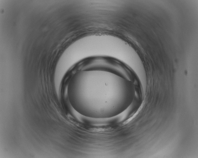 X0000066110170200603101215