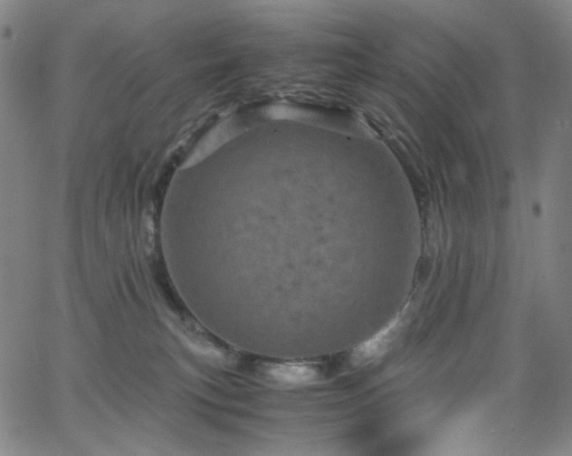 X0000066110183200603101215