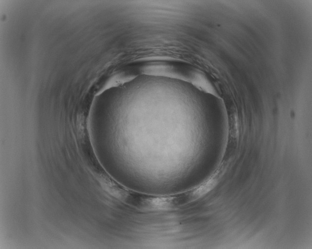 X0000066110184200603101215