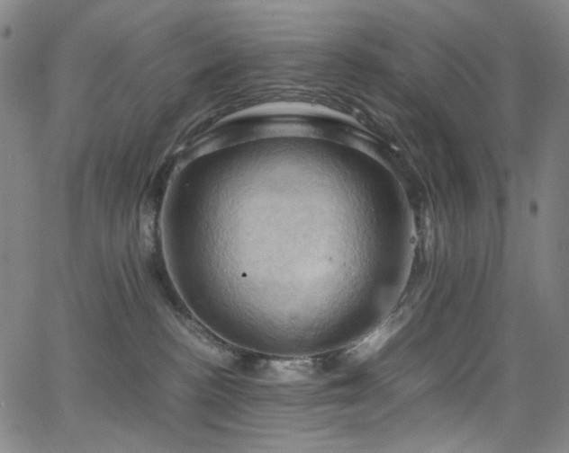 X0000066110188200603101215