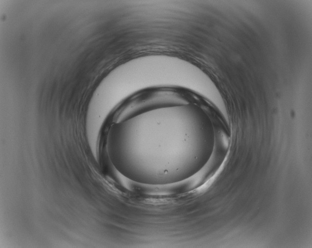 X0000066110190200603101215
