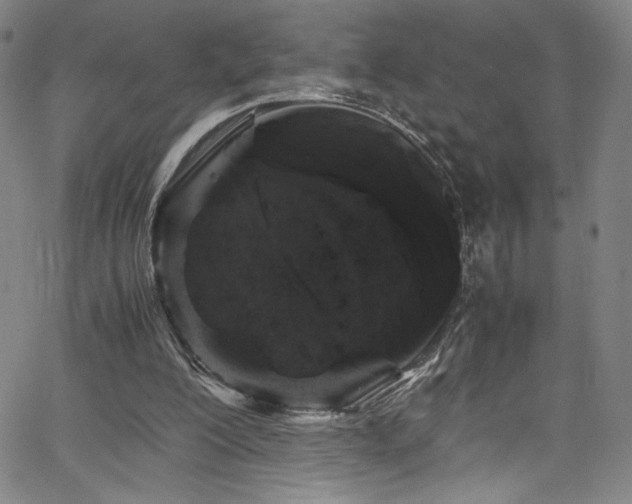X0000066110200200603101214